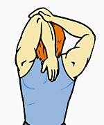 triceps-stretch-step2